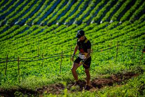 BIB: 
                            <button type="button" onclick="openModal(19160549)" class="btn btn-primary btn-sm float-right btn-popup" data-toggle="modal" data-target=".modal-high-quality">
                        <i class="fas fa-shopping-cart"></i> Add to Cart
                    </button>
                                            <button type="button" onclick="isThisMe(19160549, true)" class="btn btn-success btn-sm float-right btn-popup btn-isme hidden" data-toggle="tooltip" data-placement="bottom" title="นี่คือรูปของคุณใช่ไหม คลิกที่นี่เพื่อเอาเข้าอัลบั้ม">
                        <i class="fas fa-plus"></i> Add to album
                    </button>
                    <button type="button" onclick="isThisMe(19160549, false)" class="btn btn-warning btn-sm float-right btn-popup btn-isnotme hidden">
                        <i class="fas fa-ban"></i> Remove from album
                    </button>